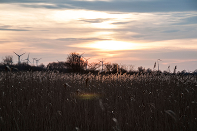 Foto 2015-fehmarn