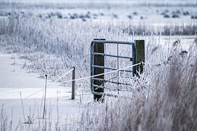 Foto 2021-01-nationalpark-nordsee