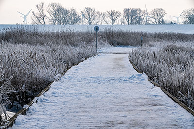 Foto 2021-01-nationalpark-nordsee