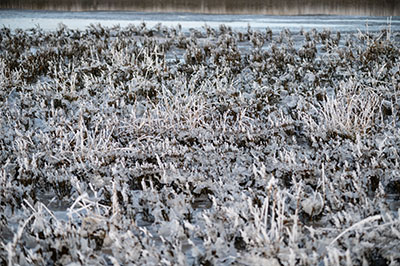 Foto2021-01-nationalpark-nordsee