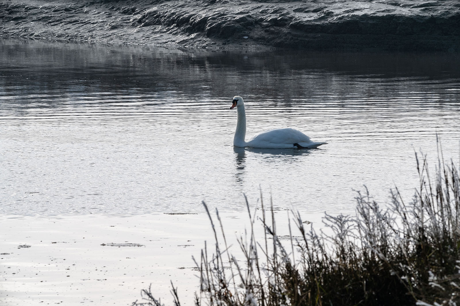 Foto 2021-01-nationalpark-nordsee