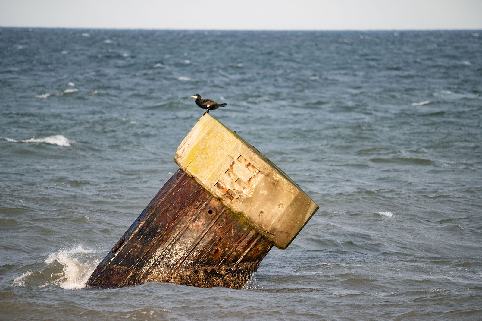 Foto 2021-01-surfen-fehmarn